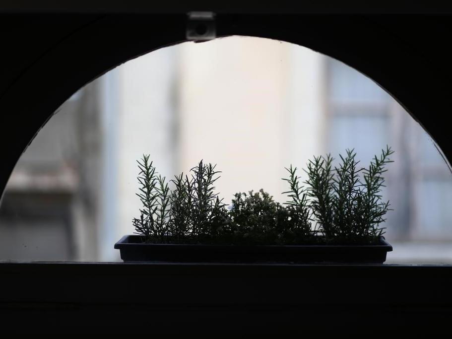 Le Relais De La Maison Bacou Carcassonne Eksteriør bilde